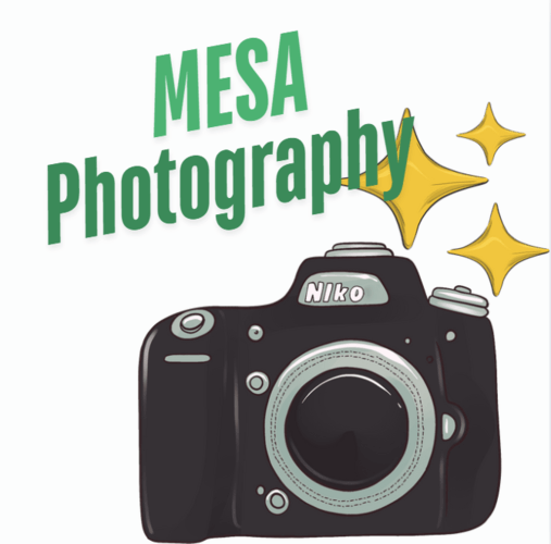 activity image