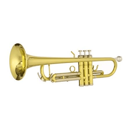 activity image