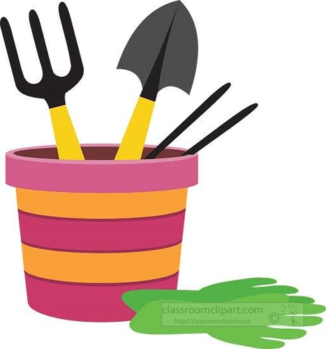 activity image