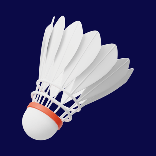 activity image