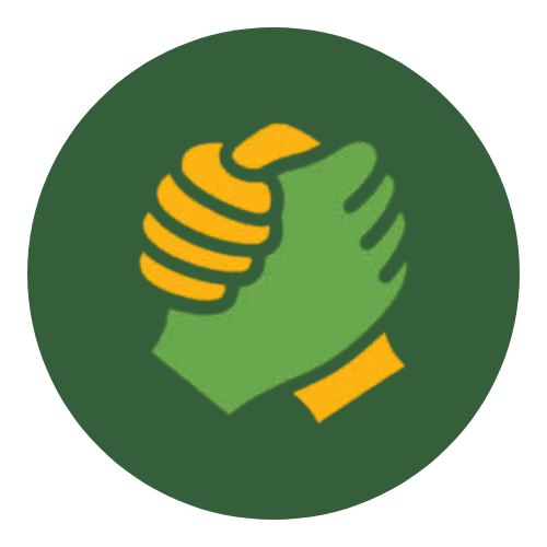 activity image