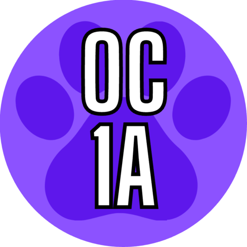 activity image
