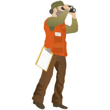 activity image