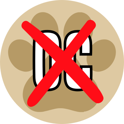 activity image