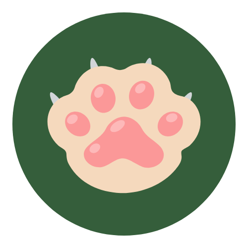 activity image