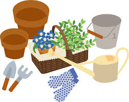activity image