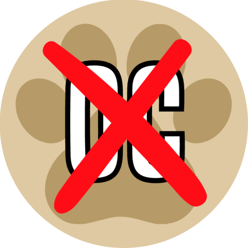 activity image
