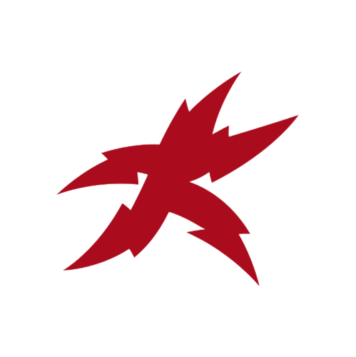 activity image