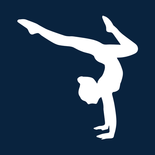 activity image